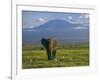 Elephant, Mt. Kilimanjaro, Masai Mara National Park, Kenya-Peter Adams-Framed Photographic Print