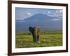 Elephant, Mt. Kilimanjaro, Masai Mara National Park, Kenya-Peter Adams-Framed Photographic Print