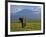 Elephant, Mt. Kilimanjaro, Masai Mara National Park, Kenya-Peter Adams-Framed Photographic Print