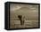 Elephant, Mt. Kilimanjaro, Masai Mara National Park, Kenya-Peter Adams-Framed Stretched Canvas