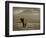 Elephant, Mt. Kilimanjaro, Masai Mara National Park, Kenya-Peter Adams-Framed Photographic Print