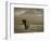 Elephant, Mt. Kilimanjaro, Masai Mara National Park, Kenya-Peter Adams-Framed Photographic Print