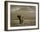 Elephant, Mt. Kilimanjaro, Masai Mara National Park, Kenya-Peter Adams-Framed Photographic Print