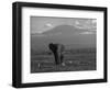 Elephant, Mt. Kilimanjaro, Masai Mara National Park, Kenya-Peter Adams-Framed Photographic Print