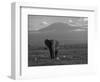 Elephant, Mt. Kilimanjaro, Masai Mara National Park, Kenya-Peter Adams-Framed Photographic Print