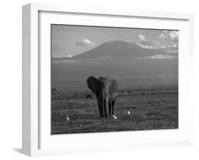 Elephant, Mt. Kilimanjaro, Masai Mara National Park, Kenya-Peter Adams-Framed Photographic Print