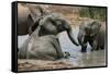 Elephant Mud Bath-Four Oaks-Framed Stretched Canvas