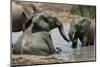 Elephant Mud Bath-Four Oaks-Mounted Photographic Print