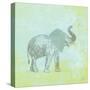 Elephant Never Forgets-Dominique Vari-Stretched Canvas