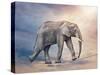 Elephant On A Tightrope-egal-Stretched Canvas