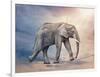 Elephant On A Tightrope-egal-Framed Art Print