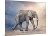 Elephant On A Tightrope-egal-Mounted Art Print