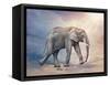 Elephant On A Tightrope-egal-Framed Stretched Canvas