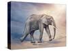 Elephant On A Tightrope-egal-Stretched Canvas