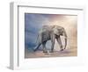 Elephant On A Tightrope-egal-Framed Art Print