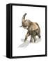 Elephant on White Background with Drop Shadow-null-Framed Stretched Canvas