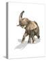 Elephant on White Background with Drop Shadow-null-Stretched Canvas