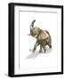 Elephant on White Background with Drop Shadow-null-Framed Art Print