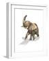 Elephant on White Background with Drop Shadow-null-Framed Art Print