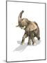 Elephant on White Background with Drop Shadow-null-Mounted Art Print