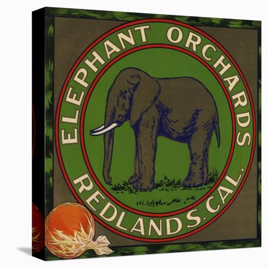 Elephant Orchards Brand - Redlands, California - Citrus Crate Label-Lantern Press-Stretched Canvas