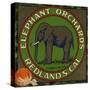 Elephant Orchards Brand - Redlands, California - Citrus Crate Label-Lantern Press-Stretched Canvas