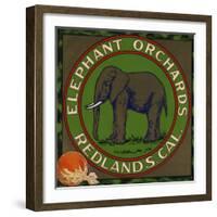 Elephant Orchards Brand - Redlands, California - Citrus Crate Label-Lantern Press-Framed Art Print