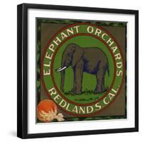 Elephant Orchards Brand - Redlands, California - Citrus Crate Label-Lantern Press-Framed Art Print