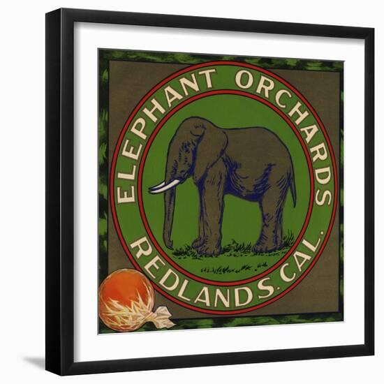 Elephant Orchards Brand - Redlands, California - Citrus Crate Label-Lantern Press-Framed Art Print