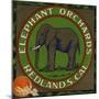 Elephant Orchards Brand - Redlands, California - Citrus Crate Label-Lantern Press-Mounted Art Print