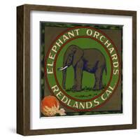 Elephant Orchards Brand - Redlands, California - Citrus Crate Label-Lantern Press-Framed Art Print