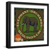 Elephant Orchards Brand - Redlands, California - Citrus Crate Label-Lantern Press-Framed Art Print