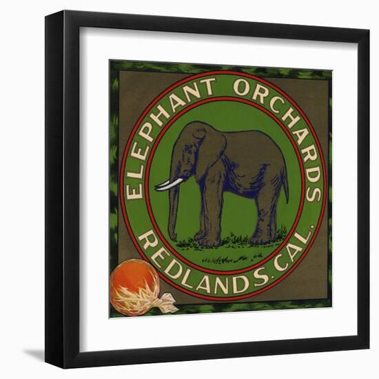 Elephant Orchards Brand - Redlands, California - Citrus Crate Label-Lantern Press-Framed Art Print