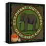 Elephant Orchards Brand - Redlands, California - Citrus Crate Label-Lantern Press-Framed Stretched Canvas