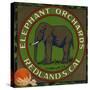 Elephant Orchards Brand - Redlands, California - Citrus Crate Label-Lantern Press-Stretched Canvas