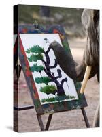 Elephant Painting, Chiang Mai, Thailand, Southeast Asia-Porteous Rod-Stretched Canvas