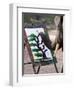 Elephant Painting, Chiang Mai, Thailand, Southeast Asia-Porteous Rod-Framed Photographic Print