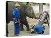 Elephant Painting with His Trunk, Mae Sa Elephant Camp, Chiang Mai, Thailand, Asia-Bruno Morandi-Stretched Canvas