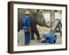 Elephant Painting with His Trunk, Mae Sa Elephant Camp, Chiang Mai, Thailand, Asia-Bruno Morandi-Framed Photographic Print