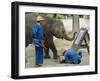 Elephant Painting with His Trunk, Mae Sa Elephant Camp, Chiang Mai, Thailand, Asia-Bruno Morandi-Framed Photographic Print