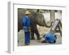 Elephant Painting with His Trunk, Mae Sa Elephant Camp, Chiang Mai, Thailand, Asia-Bruno Morandi-Framed Photographic Print