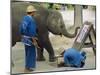 Elephant Painting with His Trunk, Mae Sa Elephant Camp, Chiang Mai, Thailand, Asia-Bruno Morandi-Mounted Photographic Print