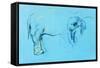 Elephant Painting-Boyan Dimitrov-Framed Stretched Canvas