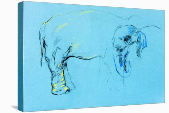 Elephant Painting-Boyan Dimitrov-Stretched Canvas