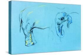 Elephant Painting-Boyan Dimitrov-Stretched Canvas