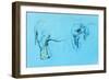 Elephant Painting-Boyan Dimitrov-Framed Premium Giclee Print