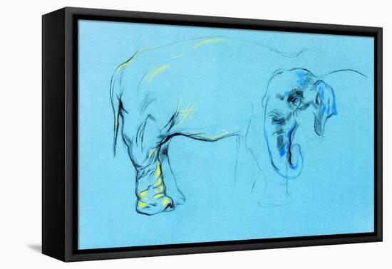 Elephant Painting-Boyan Dimitrov-Framed Stretched Canvas