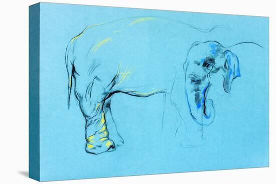 Elephant Painting-Boyan Dimitrov-Stretched Canvas