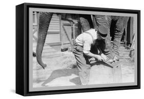 Elephant Pedicure-null-Framed Stretched Canvas