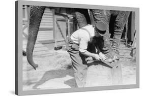 Elephant Pedicure-null-Stretched Canvas